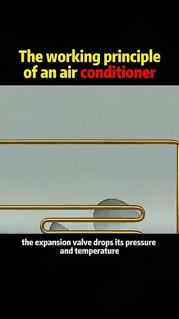 Больше интересных роликов