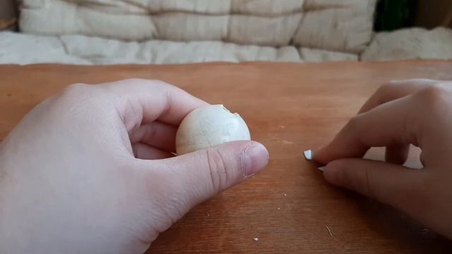 Как сделать дымовуху? смотреть онлайн