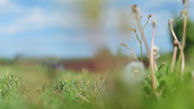 Обзор Nikon Z50 II и сравнение с Z50 смотреть онлайн