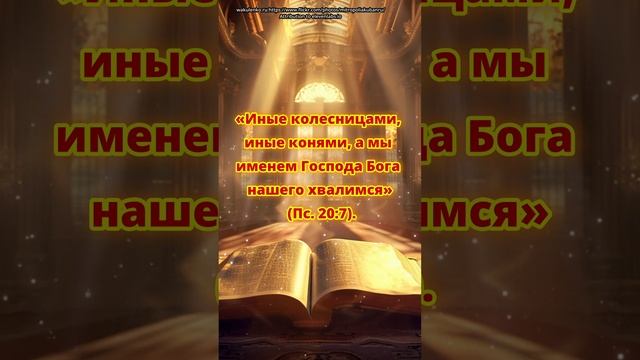 «Иные колесницами, иные конями, а мы именем Господа Бо?