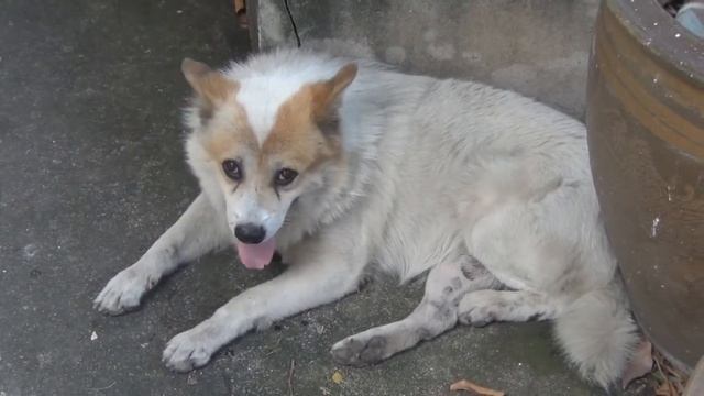 Самостоятельное путешествие по Тайланду. Бангкок 1 де?