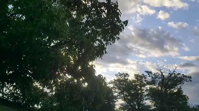 Жизнь на пенсии. Живём, как умеем.Заливной пирог. Дождь