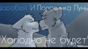 Коты-Воители клип Воробей и Половинка Луны "Холодно не будет"