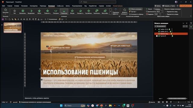 Подробная инструкция презентации с анимацией в PowerPoint смотреть онлайн