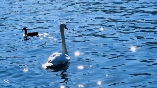 такой самоотверженностью стоит восхищаться #родитель