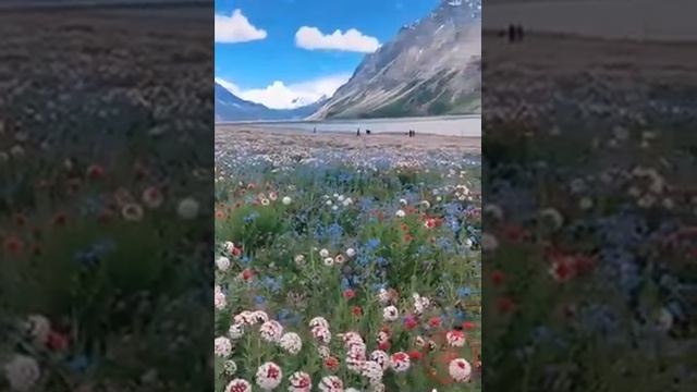 Аз ман магурез☝️ смотреть онлайн