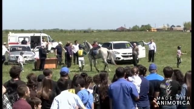 Скачки 1 мая 2017. Вероника 10 лет на арабах Магдалена Д и Маламут смотреть онлайн