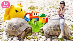 Маша и Лаки кормят черепах и играют в машинки перед сном!