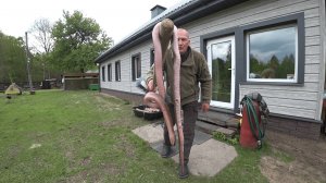 ПОЛЗУЧИЕ ГАДЫ НЕ ДАЮТ ЖИТЬ СПОКОЙНО! БЕЗ ДРУЗЕЙ НЕ СПРАВЛЮСЬ. №345