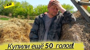 У НАС ПОПОЛНЕНИЕ В ХОЗЯЙСТВЕ! ЖУЛЬЕТА ВЫШЛА ПО АМНИСТИИ. Фунтик и компания переезжает. В деревне.