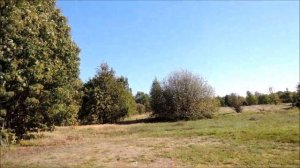 23 . По Псковщине . Талабские острова.  Остров Белов