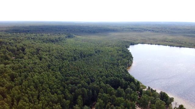 Рубское озеро. Ивановская область. 4К смотреть онлайн