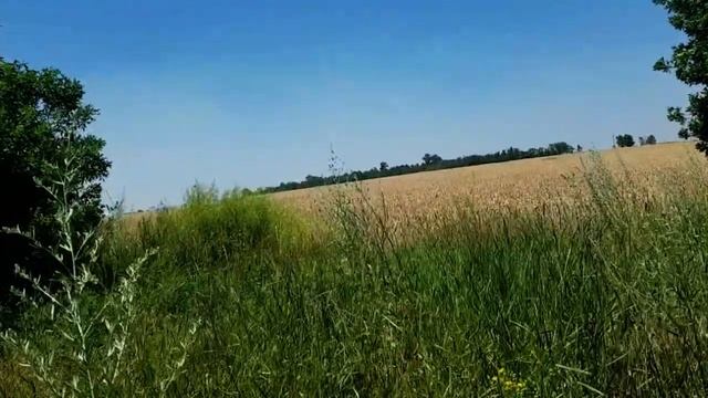 САМВЕЛ АДАМЯН ТЕПЕРЬ ПОНЯТНО ПОЧЕМУ МАМА УГАСАЕТ #Сам? смотреть онлайн