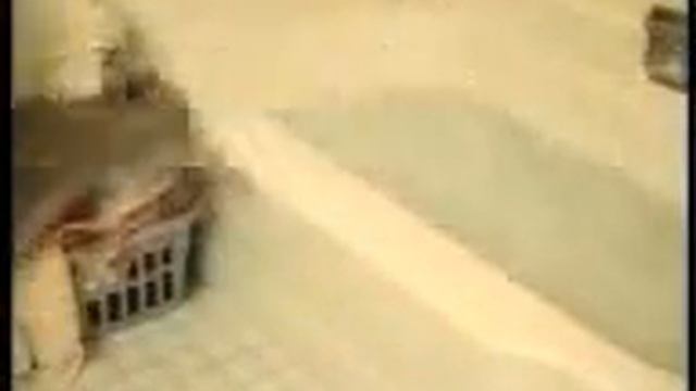 крутые кошки! смотреть онлайн