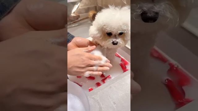 Дя расслабления