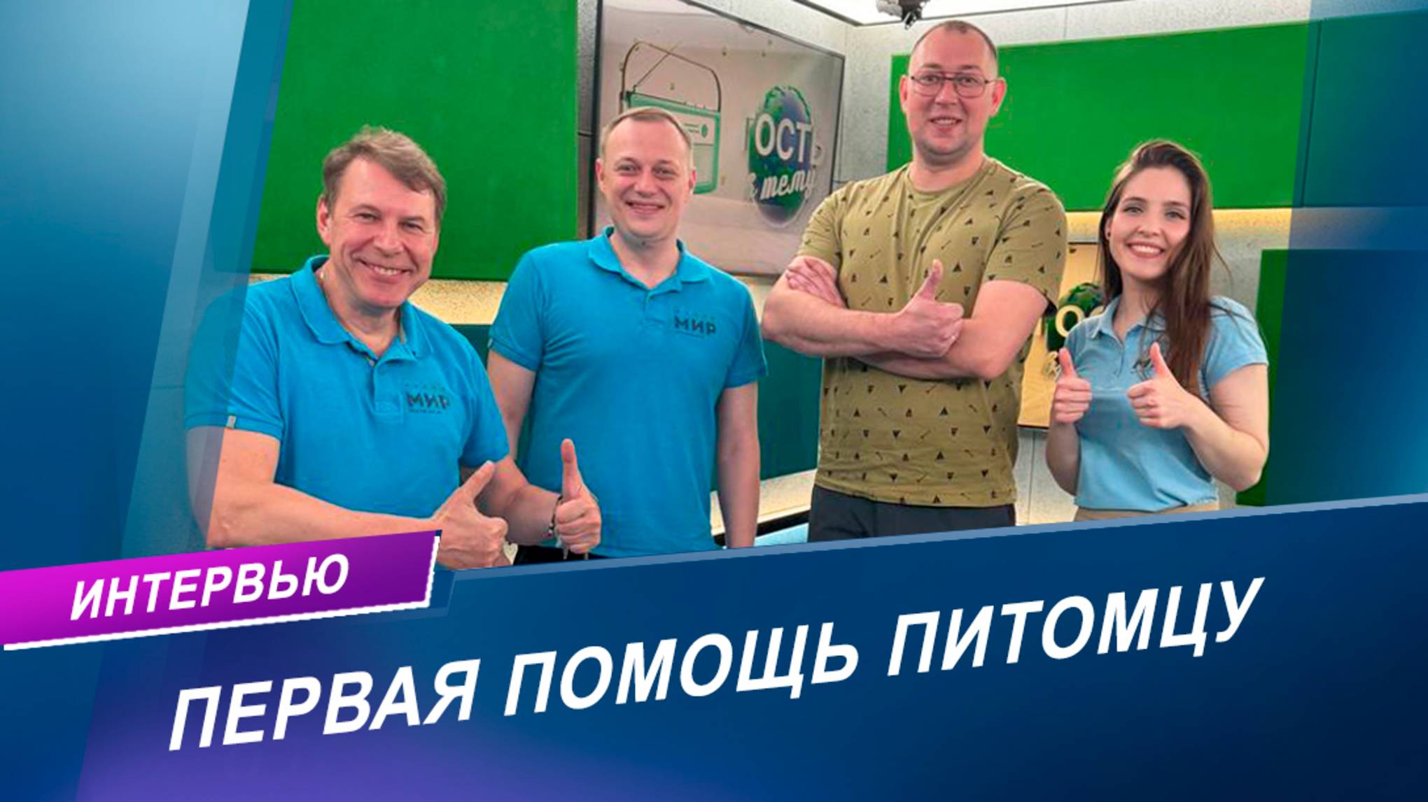 Первая помощь домашним животным: советы ветеринарного врача-хирурга