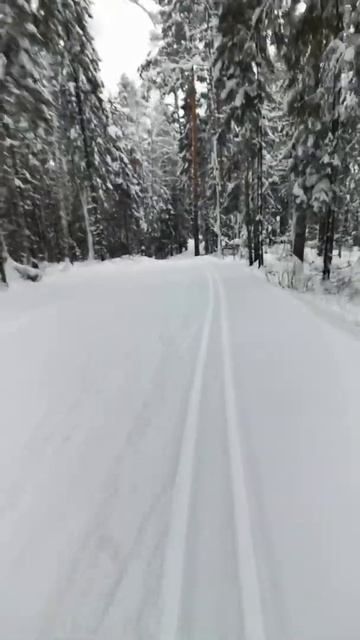 Биатлонный комплекс г. Ижевск. Почти 60 км/ч на лыжах смотреть онлайн