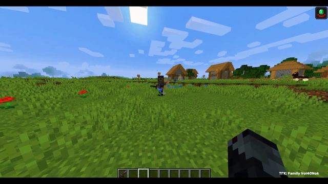 Мод на защитников деревни Guard Villagers Minecraft | 1.14.4 - 1.21.1