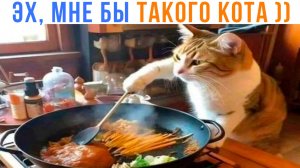 ЭХ, МНЕ БЫ ТАКОГО КОТА ))) Приколы с котами | Мемозг 1610