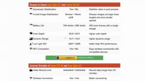 Sony A7C (II) или Canon R8: ЧТО ВЫБРАТЬ?