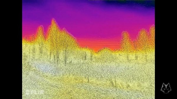 Ulefone Armor 27T Pro (тепловизор FLIR)