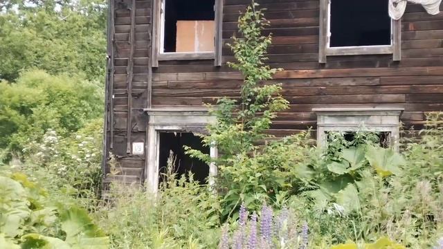 Поход на Камышовый хребет. Часть 3. Город-призрак Тельн смотреть онлайн