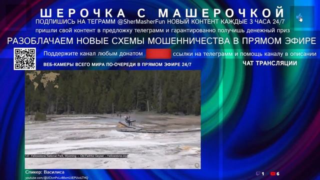 Василиса Антимошенник (Антимошенники России, Мошенни?