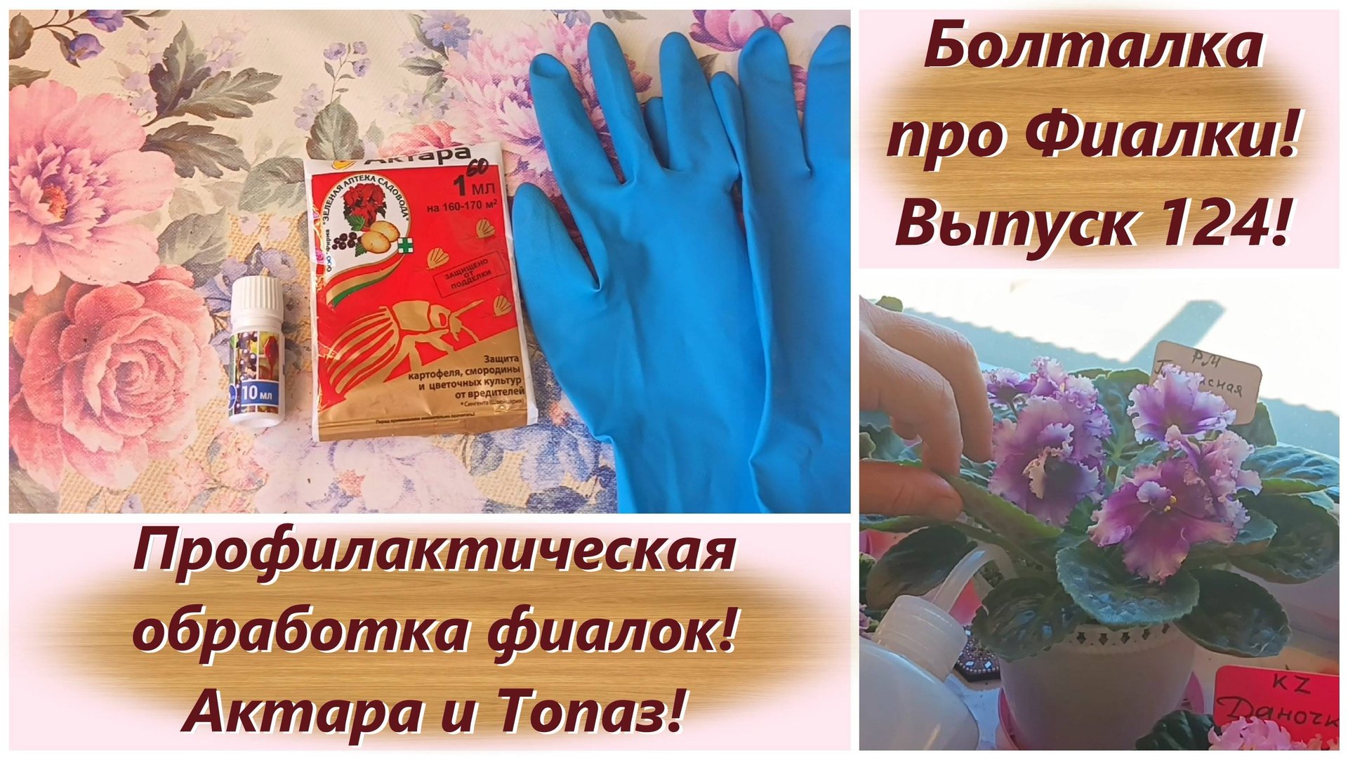 Болталка про Фиалки! Выпуск 124! Профилактическая обработка фиалок! Актара и Топаз! смотреть онлайн