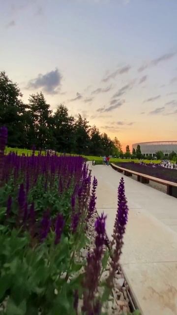 Прогулка по Шалфеям в парке Краснодар