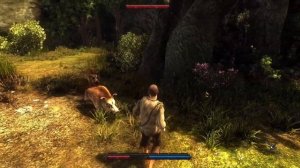 Risen 1 Халявная броня в начале игры