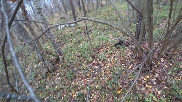 Такого я ещё не видел. Пальцами усеяно всё вокруг, разб смотреть онлайн