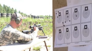 Стань снайпером за 100000 рублей!!! АТА ARMS ALR 308Win !!!