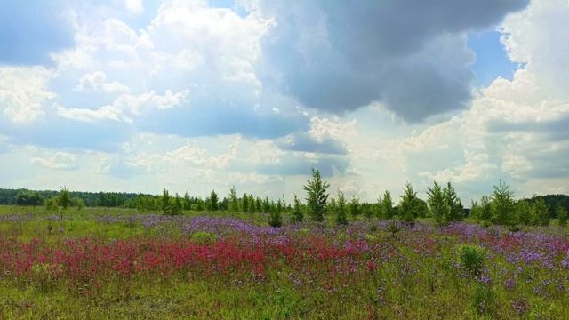 SJCAM C200 тест во время движения