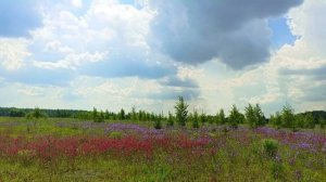 SJCAM C200 тест во время движения