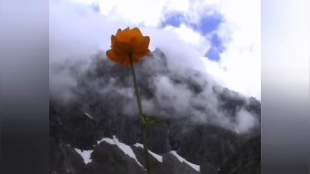 АТОМ ИДЕТ НА КИЕВ! БУДЕТ ВАМ ПАСХА - ГОРЕ ВЕЛИКОЕ БУДЕТ.