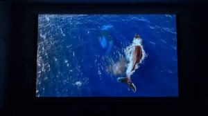 Яркий Проектор Touyinger Q12W Pro — Цена/Качество?