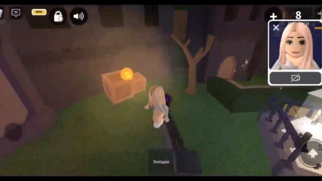 как включить войс чат и камеру в роблокс