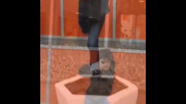 Dsm Live Паркур!!! смотреть онлайн