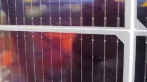Проверка двухсторонней солнечной панели за 1 минуту. Б