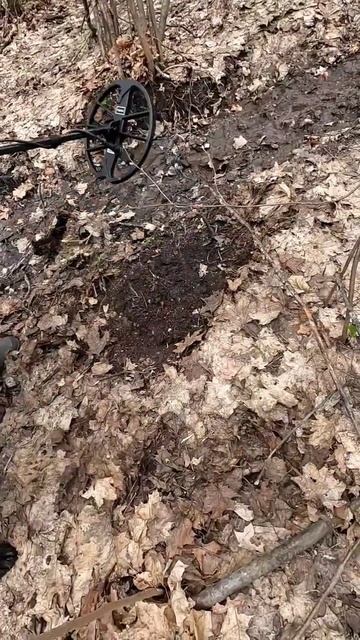 Открытие сезона 2024. Сравниваем металлоискатели. Нокта