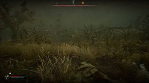 STALKER 2 Баг на бесконечную скорость бега.