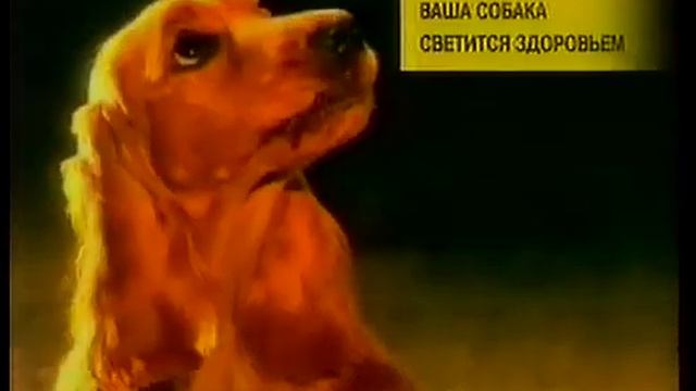 Анонсы и реклама (ОРТ,23.12.2001) смотреть онлайн