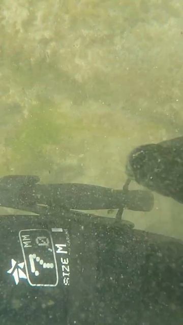 Поиск с Minelab Excalibur 2.Почему в море так много пробок от во смотреть онлайн