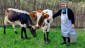 Домашнее масло из молока по старинному деревенскому рецепту