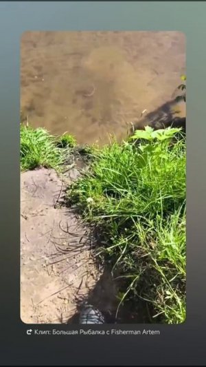 Крутая рыбалка на фидер в конце мая