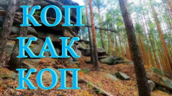 Коп как коп