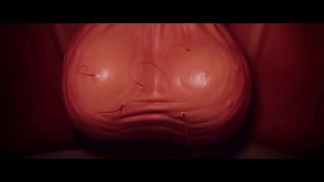 «Спермагеддон» не покажут в России — Минкульт РФ отка