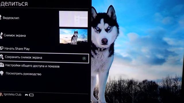 Как поставить на фон PS4 свою картинку