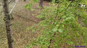 Санаторий "Зелёная Роща" г. Сочи