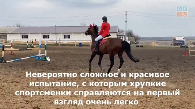 Соревнования по конкуру Павловской ДЮСШ смотреть онлайн